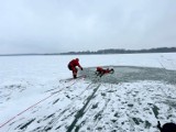 Ostrożnie na lodzie  - ostrzegają ratownicy. WOPR z Leszna ćwiczył dziś ze strażakami w Boszkowie na wypadek zagrożeń