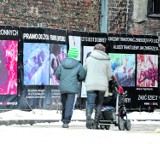 Aborcja na zdjęciach. Szokująca wystawa w Gdańsku 