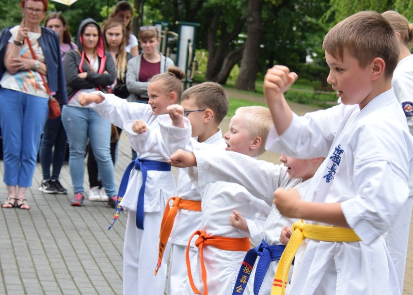 Piknik Rodzinny Fundacji Wielkie Serce dla Dzieci w Ogródku Jordanowskim w Krośnie [ZDJĘCIA]