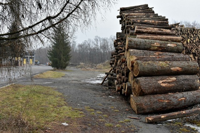 Pięć hektarów nowej strefy powstanie do 2023 roku