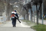 Kraśnik. Trwa wiosenne sprzątanie miasta. Zobacz zdjęcia