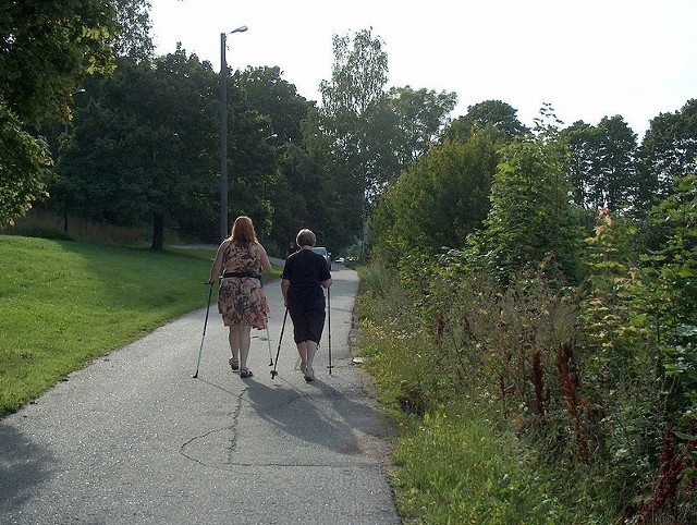 Źródło: http://commons.wikimedia.org/wiki/File:Nordic_walking_Sauvak%C3%A4vely%C3%A4_Vallilassa_H8261_C.jpg