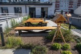 Centrum Seniora w Bielsku-Białej! Innowacyjne miejsce dla seniorów z urokliwym tarasem na dachu pomoże w walce z samotnością