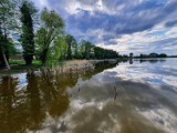 Kiedy dojedziemy rowerem nad piękne jezioro w powiecie leszczyńskim? Chodzi o trasę przy drodze Włoszakowice-Brenno