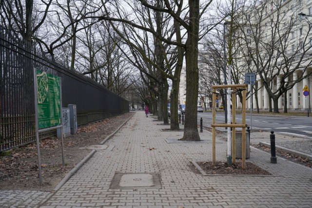 Ulice Świętojerska i Anielewicza przejdą modernizację. Zniknie część betonowej kostki i pojawi się więcej zieleni.