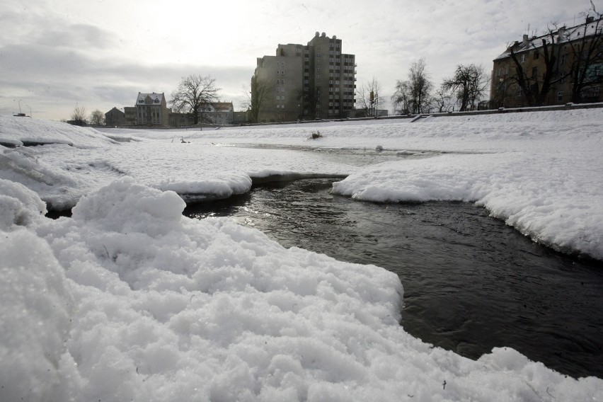 Śnieżna zima w Legnicy, tak było w styczniu 2010 roku