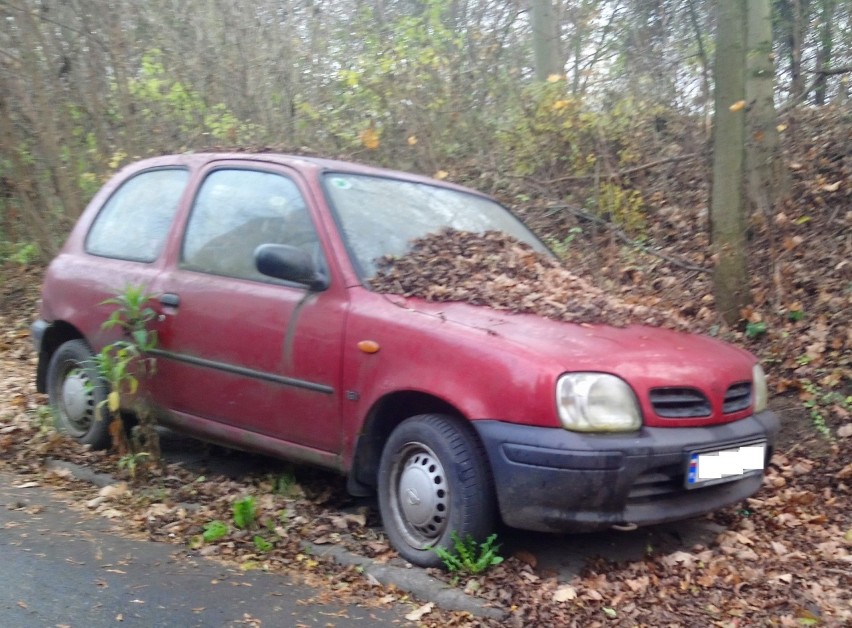 ul. Rogatka Nissan Micra