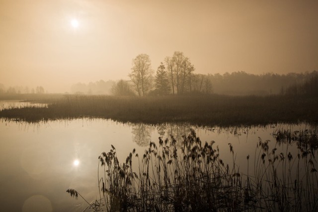 Włodzimierz Tyczyński, fotograf-amator z Radomska przypomina wyprawę z aparatem na Fryszerkę