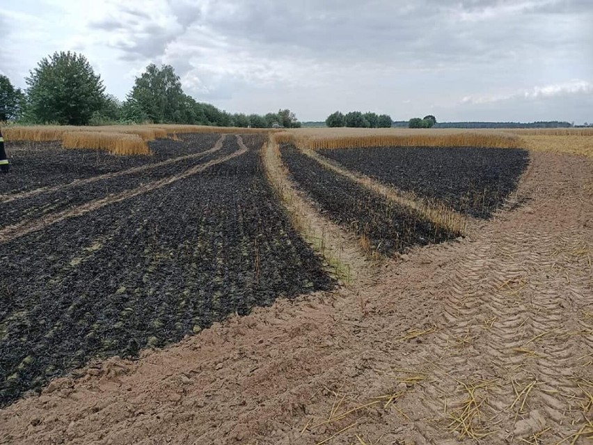 Płoną zboża w naszym powiecie. Należy zachować ostrożność [ZDJĘCIA]