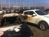 Kraków: przy ul. Bobrzyńskiego spłonęły trzy samochody [ZDJĘCIA]