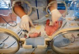Opolskie. 36-letnia kobieta w ciąży zmarła po porodzie na COVID-19. Lekarze ratują jej nowo narodzone dziecko