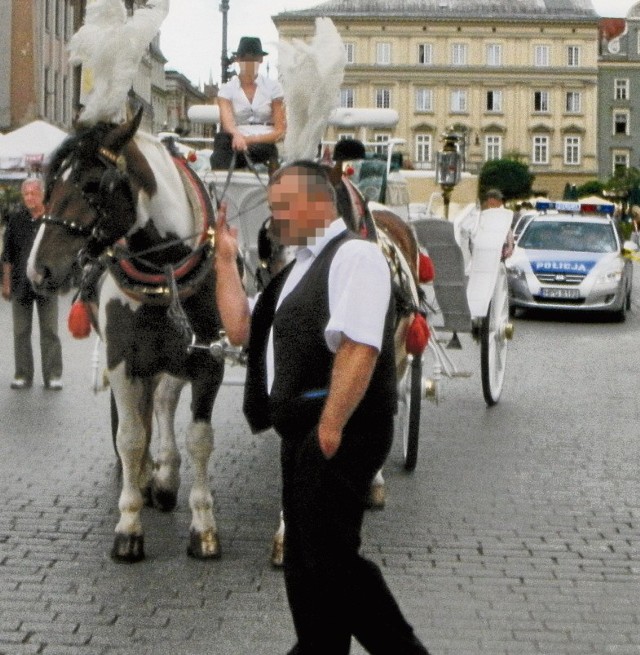 Kraków: Ten koń zasłabł i przewrócił się na dzieci