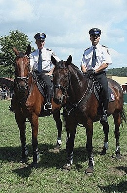 Blue Baker dołączył do policyjnej drużyny konnej w Częstochowie [ZDJĘCIA]