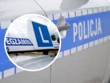 Zderzenie auta egzaminacyjnego na prawo jazdy ze skodą na skrzyżowaniu ulic Kruszyńska - Filtrowa we Włocławku [wideo]