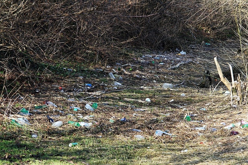 40 wielkich worków śmieci zebrane na zaledwie 400-metrowym odcinku! Społecznicy sprzątali brzegi jeziora