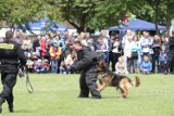 Wielkopolska: Policyjne psy zdobywają atesty