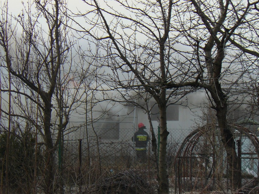 Pożar na terenie aeroklubu w Pruszczu Gdańskim ugaszony