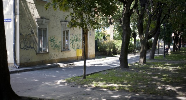 Zaniedbana zieleń parkowa, zniszczone ławeczki, budynki - wymieniać można bez końca. Najgorsze, że szybko się to nie zmieni