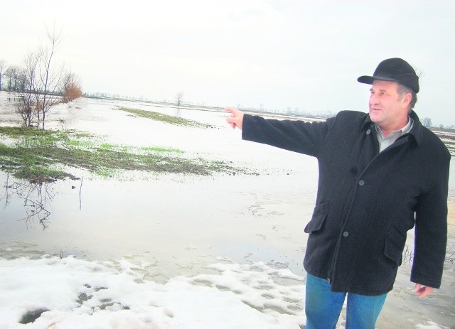 Wielkie rozlewiska powstały m.in. na polach w okolicy Brzózek (gm. Nowy Staw)