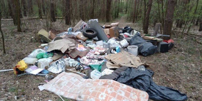 Sprawca zaśmiecania w Księżych Górach pod Pniewami zostanie ukarany