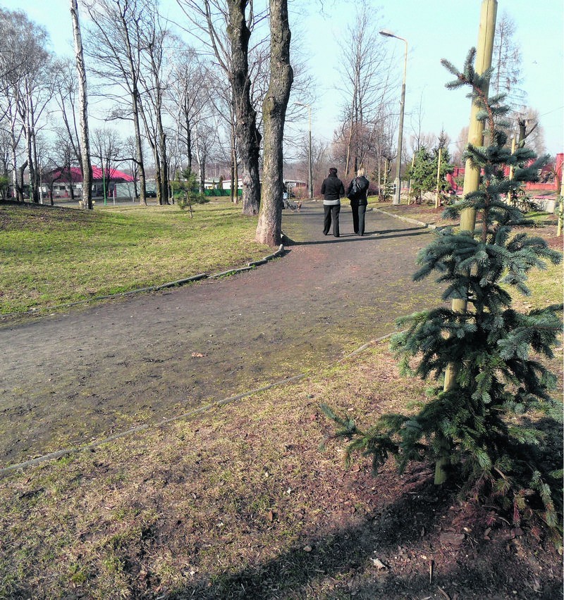 W parku na terenie Milowic mają pojawić się nowe krzewy