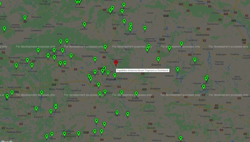 Sinice W Wielkopolsce. Zakaz kąpieli przez sinice. Oto lista...