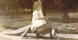 Klara i krokodyl, czyli... power [ZDJĘCIA, FILMY]