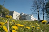 Poznań: Bezpłatne konsultacje neurologiczne