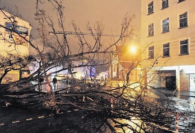 Na ulicy Piekary, tuż obok parkujących samochodów, runęło powalone przez wichurę potężne drzewo