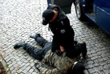 Ćwiczenia policjantów przed Zamkiem Dzikowskim [ZDJĘCIA]