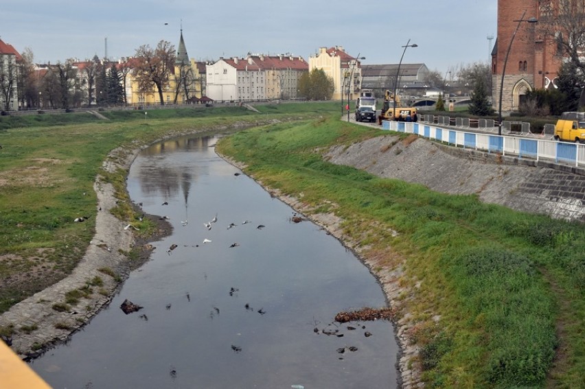 Nad Kaczawą w Legnicy powstanie bulwar, ulica jest nieprzejezdna [ZDJĘCIA]