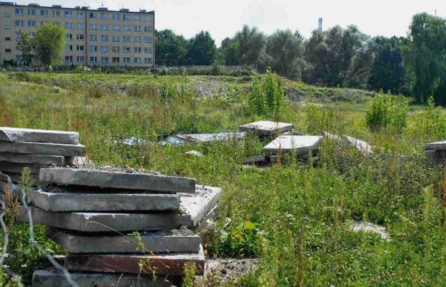 Urzędnicy przyznają, że są już nawet plany co do sprzedaży działki w Dolinie Kłodnicy