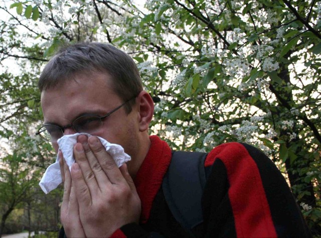 Na alergię cierpi blisko 70 tys. mieszkańców Katowic