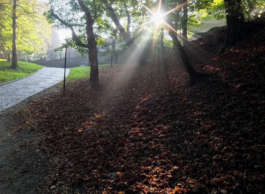 Jesienny poranek w Parku Miejskim w Przemyślu.