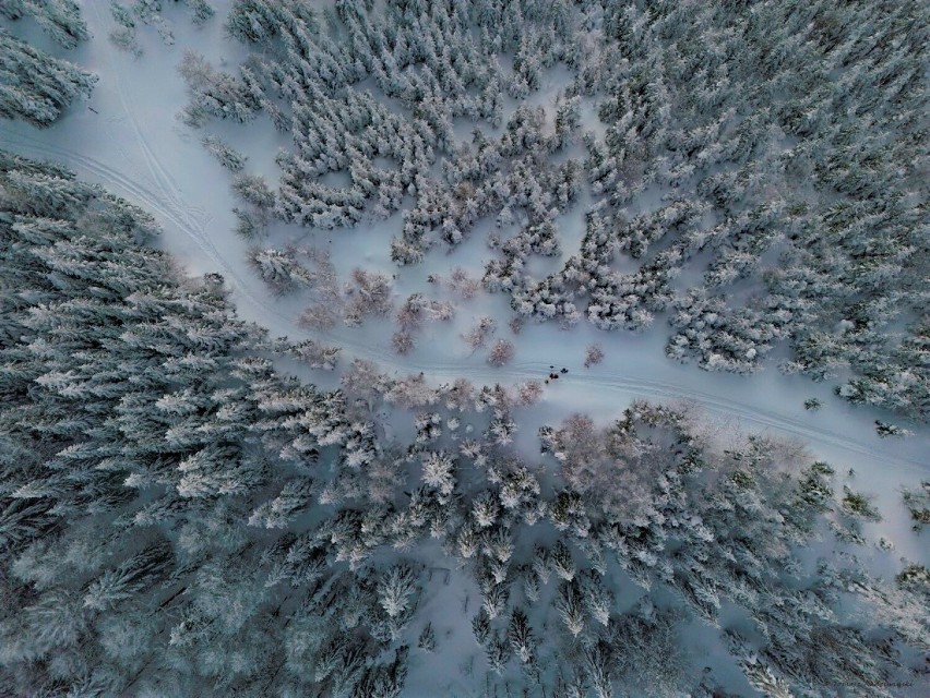 Zima w Beskidzie Sądeckim nie odpuszcza. Tak wygląda trasa...