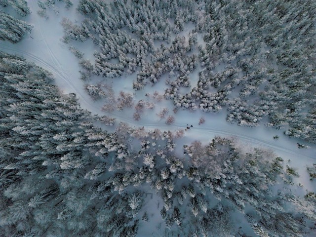 Zima w Beskidzie Sądeckim nie odpuszcza. Tak wygląda trasa na Radziejową. Tam nadal jest mnóstwo śniegu