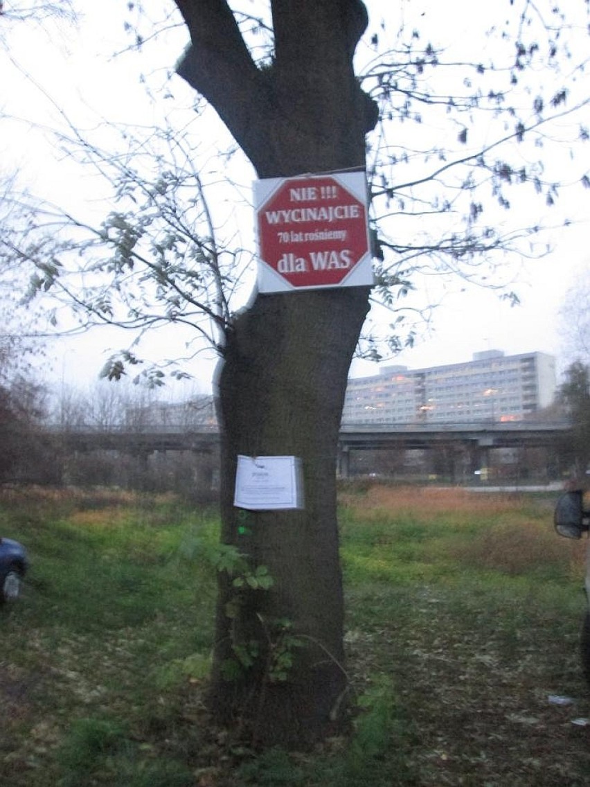 CH Posnania - Mieszkańcy Milczańskiej protestują w sprawie wycinki drzew