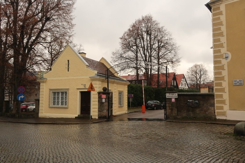 Uratowali setki istnień! W Wałbrzychu wręczono odznaczenia dla krwiodawców z Dolnego Śląska. Zobaczcie zdjęcia bohaterów