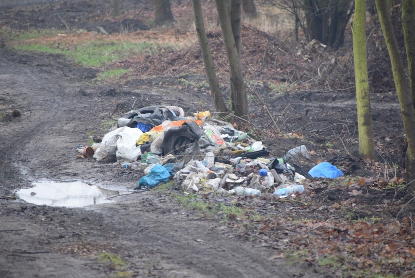 Sterta śmieci obok skansenu