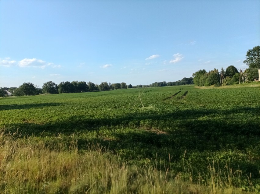 Ścieżki rowerowe Zgorzelec i Goerlitz