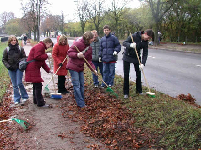 Grabienie liści kasztanowca w Parku Staromiejskim to już wieloletnia łódzka tradycja.