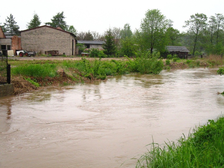 Potok Żelisławicki