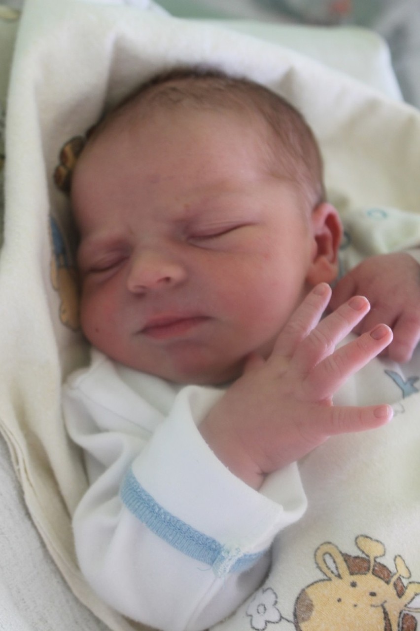 Alan  Olender, syn Klaudii i Dominika, urodził się 3 maja....