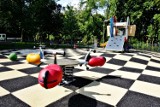 Sport w Łodzi: do parku na szachy?