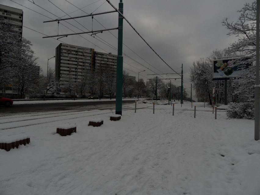 Park Śląski będzie miał nowy wjazd. Aleja Główna zostanie zamknięta dla ruchu [ZDJĘCIA]