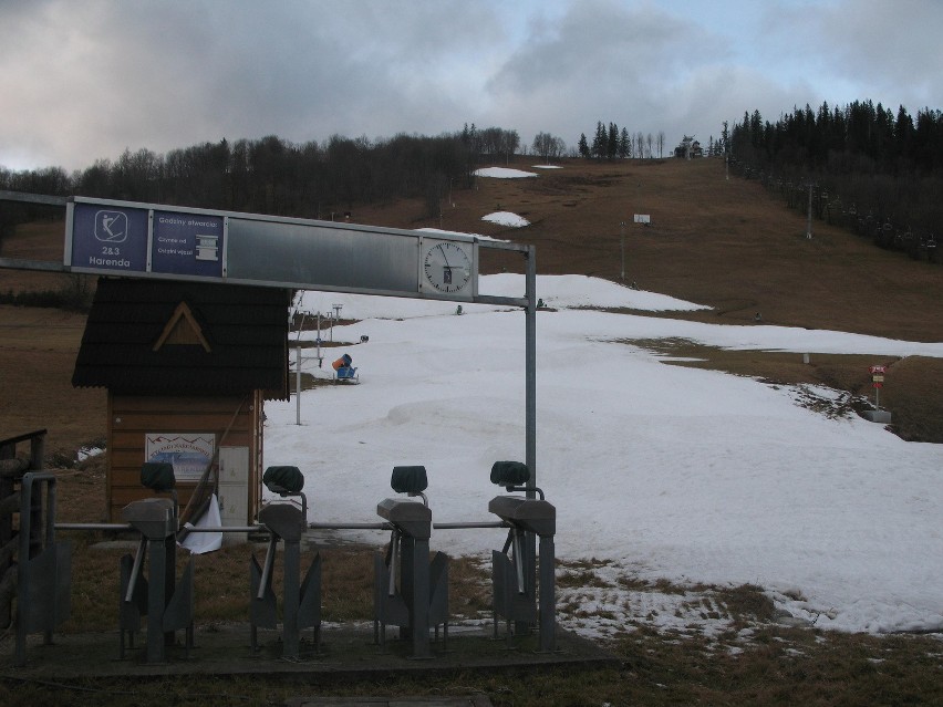 Zima omija Podhale. Sezon narciarski bez śniegu? [ZDJĘCIA]