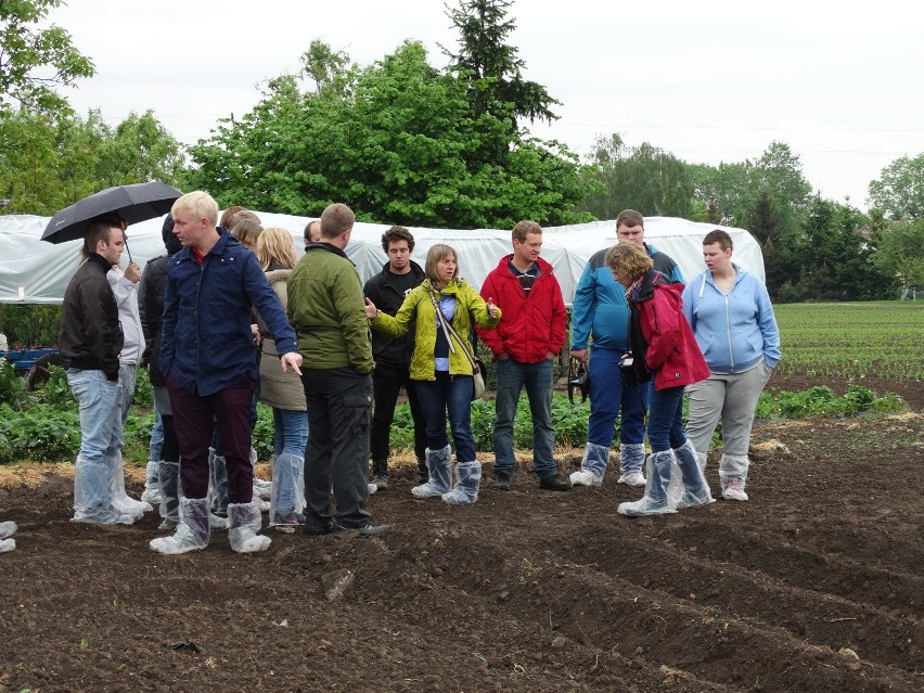Duńczycy odwiedzili gospodarstwo rolne w Ozorzycach w gminie Siechnice