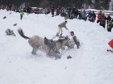 Kumoterki 2013: ostatnia kumotersko gońba w tym roku za nami