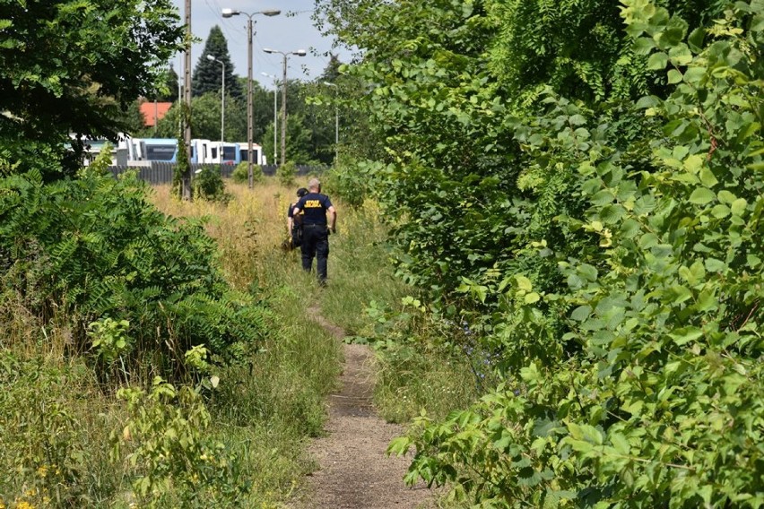 Pożar pustostanu przy ulicy Kolejowej w Śremie