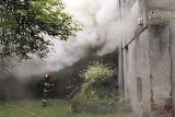 Pożar na Padewskiego. 10 osób ewakuowanych [ZDJĘCIA+FILM]
